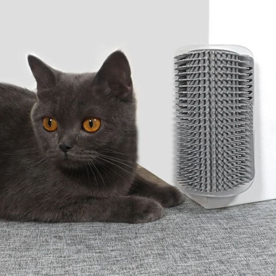 Brosse chat