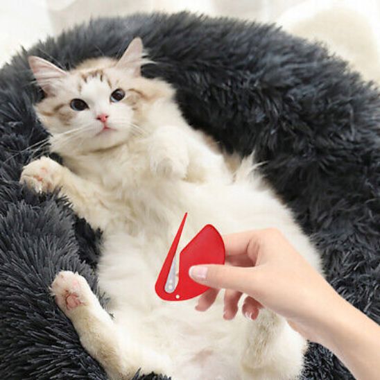 Démêleur à noeud pour chat