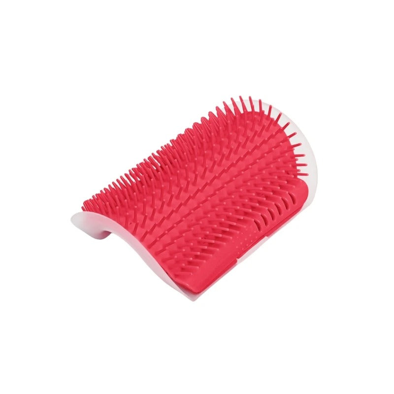 Brosse chat